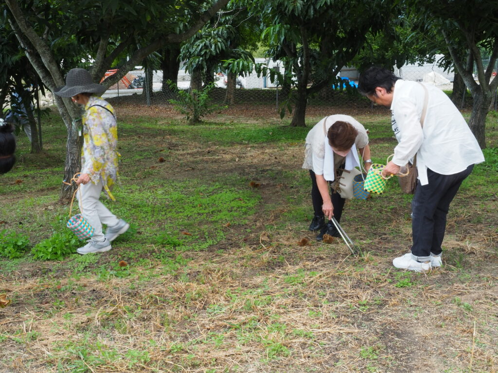 栗拾い